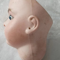 Authentique Tête De Poupée Bru Ancienne Biscuit Porcelaine Bouche Fermée